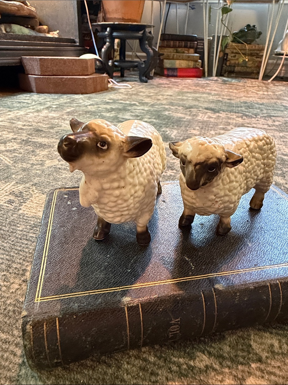 Vintage porcelain sheep salt and pepper shakers.